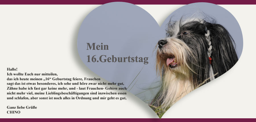 Chino ist 16.Jahre